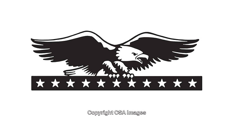 Black and White Illustration of an Eagle with Patriotic Star Design