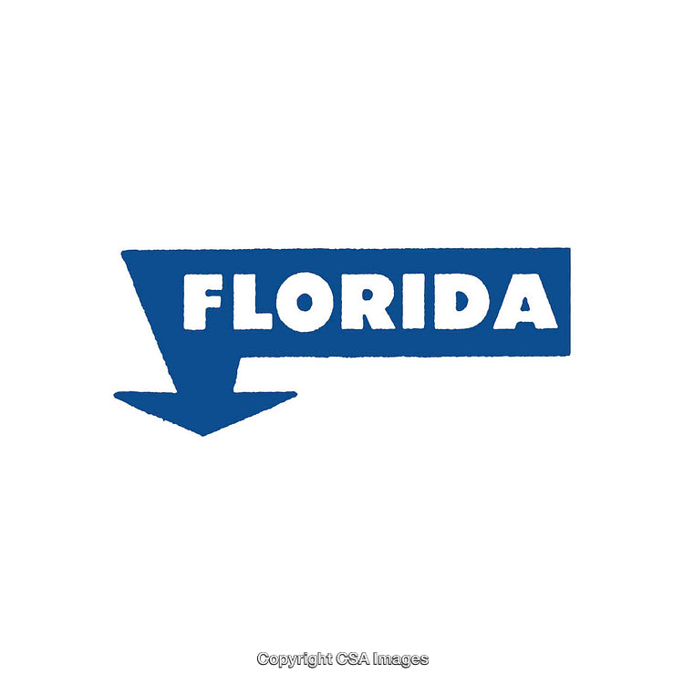 Blue Arrow Graphic Featuring Florida Text in Bold Font