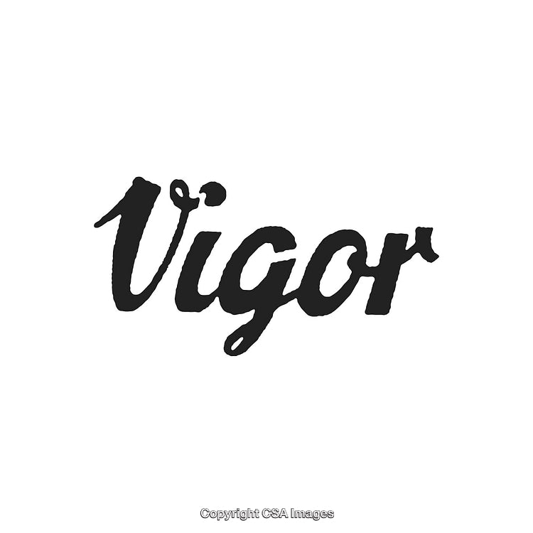 Bold Brush Lettering of the Word 'Vigor' on White Background