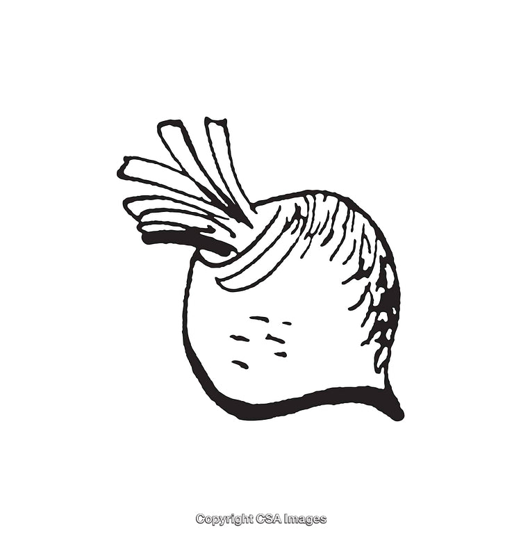 Black And White Line Art Illustration of a Root Vegetable