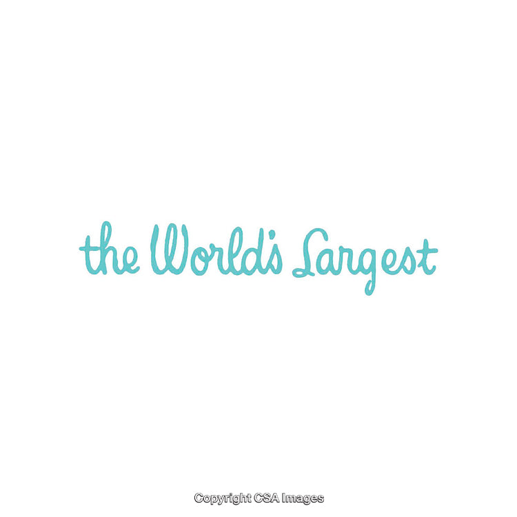 Handwritten Blue Text Emphasizing "The World's Largest" on White Background