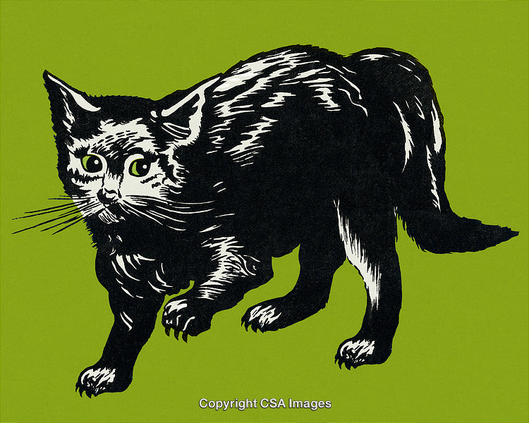 Stylized Black Cat Illustration on Bright Green Background