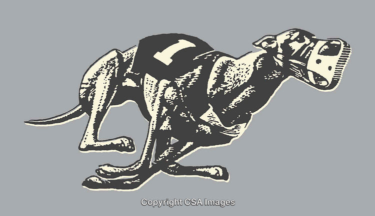 Illustration of a Racing Greyhound in Motion with Detailed Line Art Style