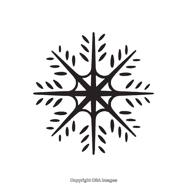 Geometric Black Snowflake Design With Intricate Patterns on White Background