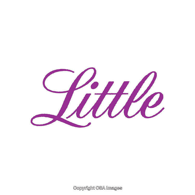 Purple Lettering of the Word 'Little' in Elegant Script Font