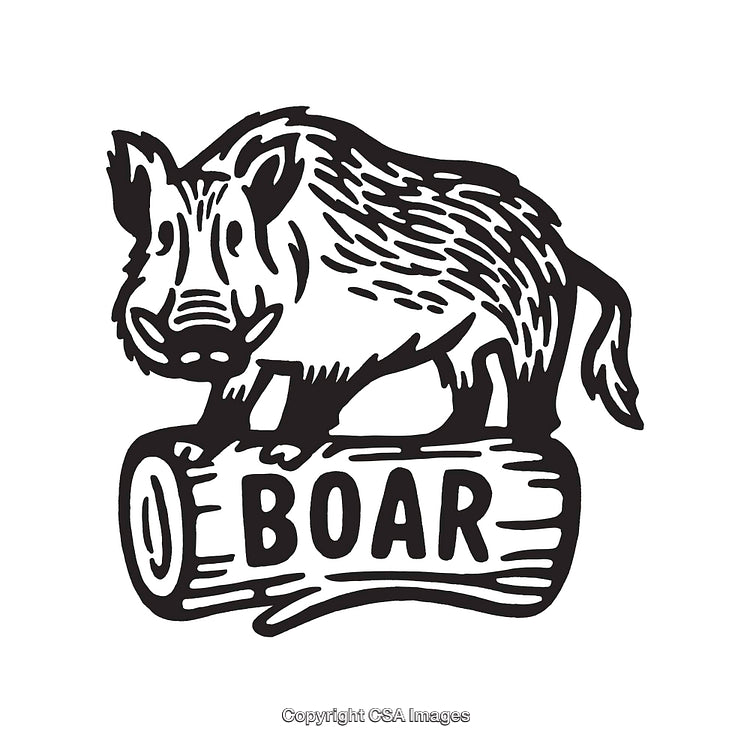 Wild Boar Black and White Line Art Illustration on Log