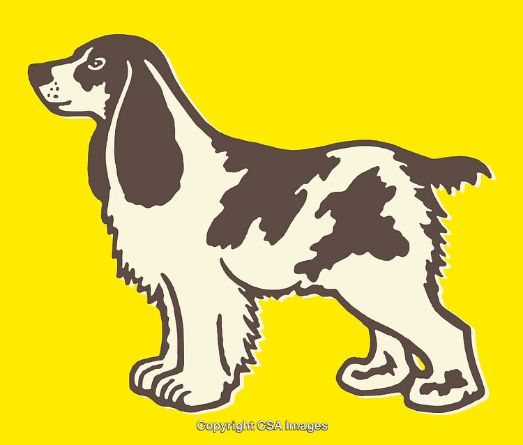 Brown and White Dog Illustration on a Vibrant Yellow Background