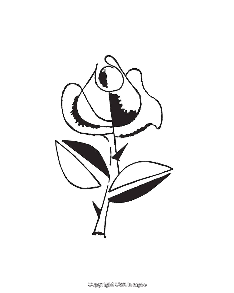 Minimalistic Black and White Line Art Rose Illustration with Leaves