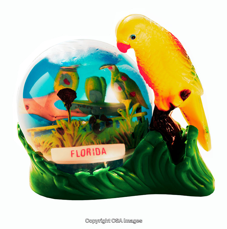 Colorful Figurine with Florida Parrot and Tropical Scene Displayed