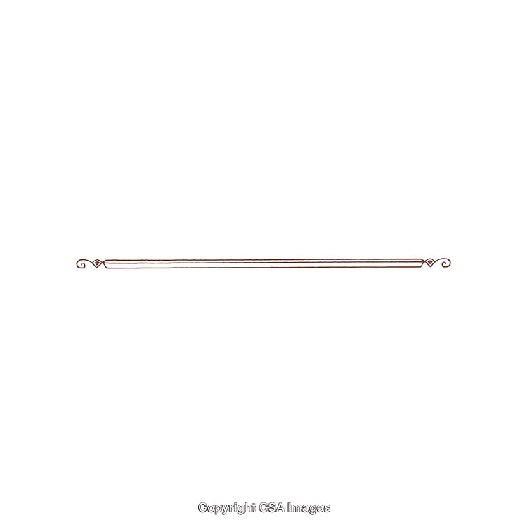 Minimalist Decorative Line Divider with Elegant Swirls and Design Elements