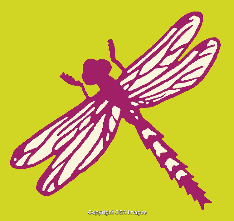 Vivid Line Art Illustration of a Dragonfly on Bright Green Background
