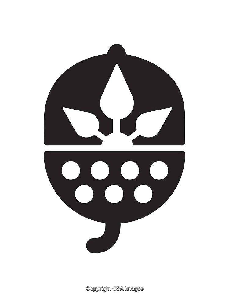 Black and White Acorn Icon With Symmetrical Design Elements