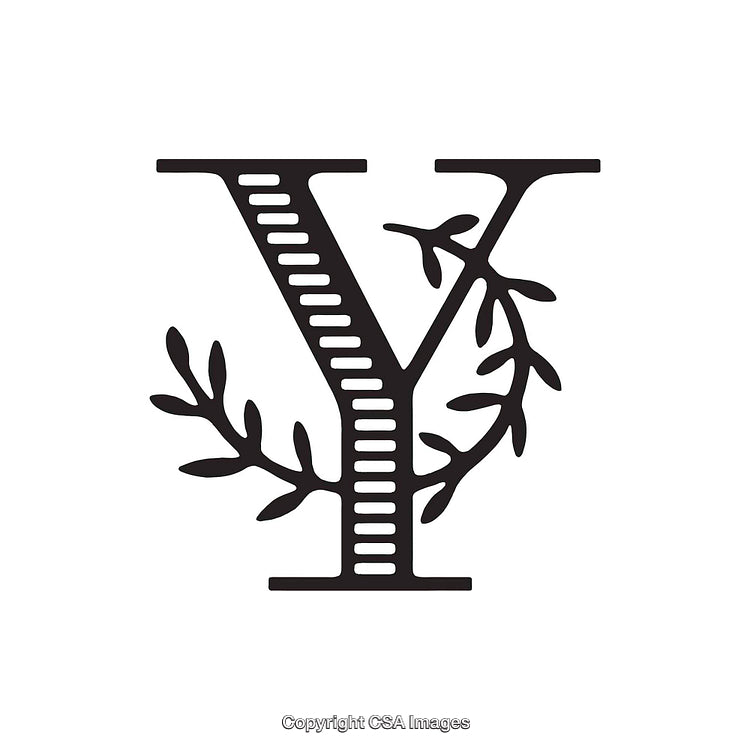 Elegant Letter Y With Decorative Leaf Accents and Classic Style