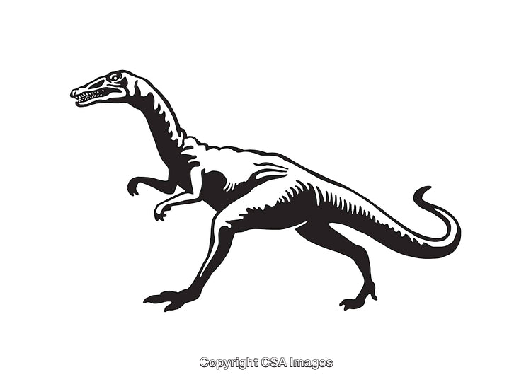 Black and White Line Art Illustration of a Dinosaur in Profile View
