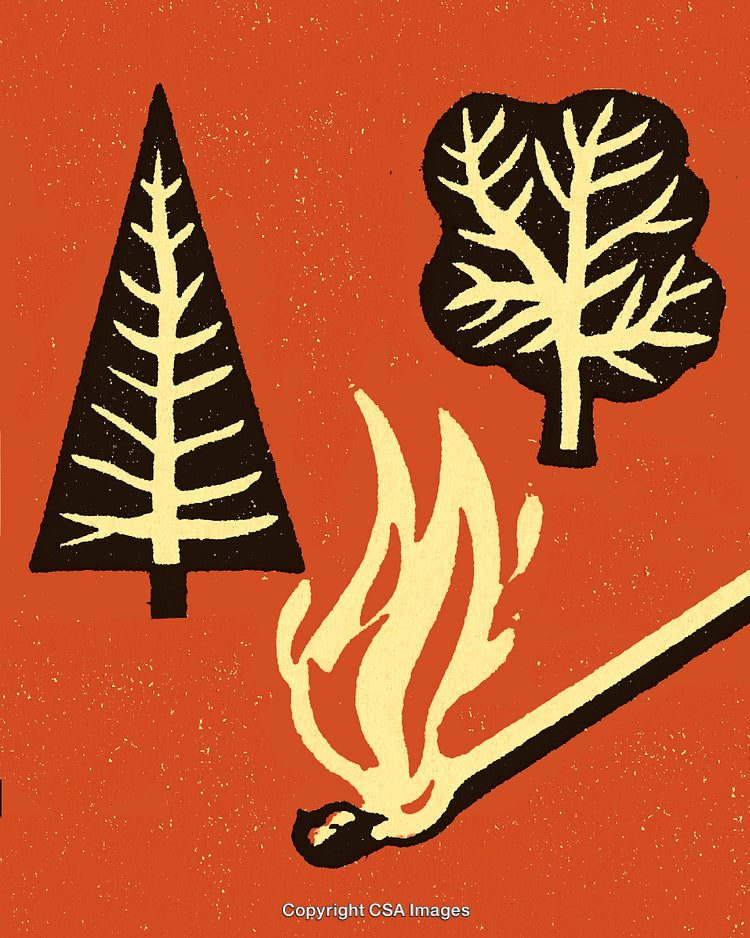 Abstract Illustration of Trees and Fire with a Matchstick Design
