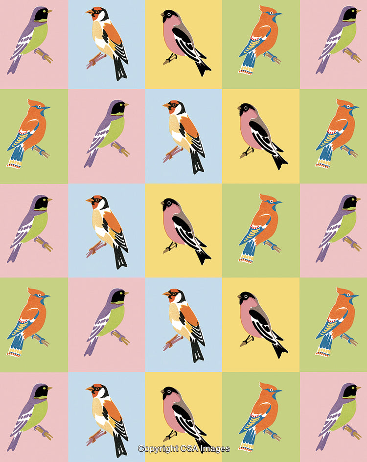 Bird Pattern