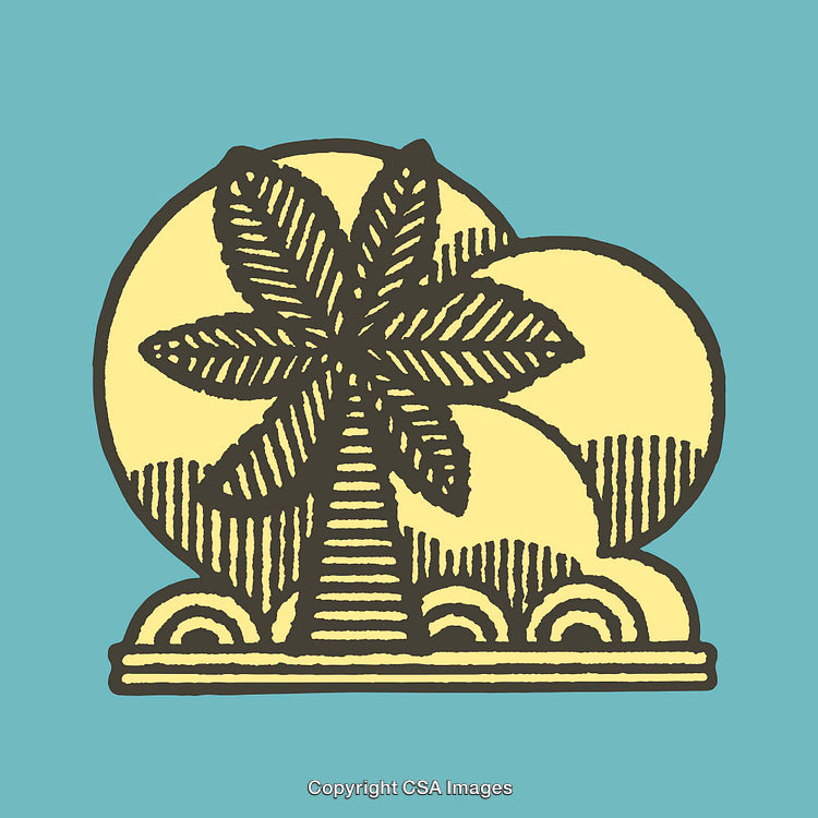 Stylized Line Art of Palm Tree and Nature Elements on Blue Background
