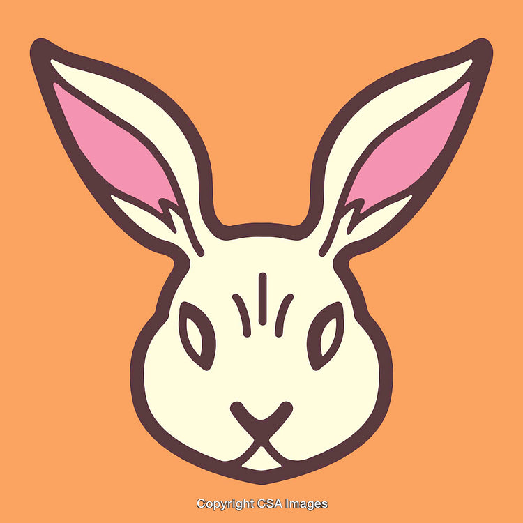Colorful Line Art Illustration of a Rabbit Face on Orange Background