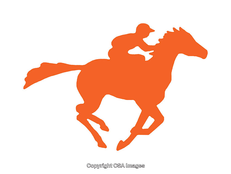Silhouette of a Jockey Riding a Horse in Motion
