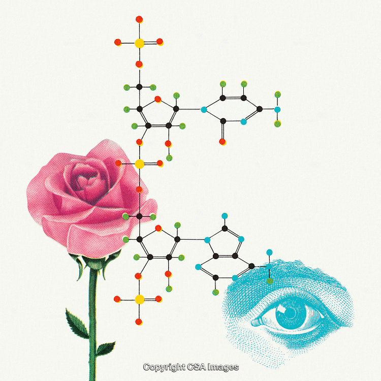 Abstract Composition with Rose Flower, Molecular Structure, and Eye Illustration