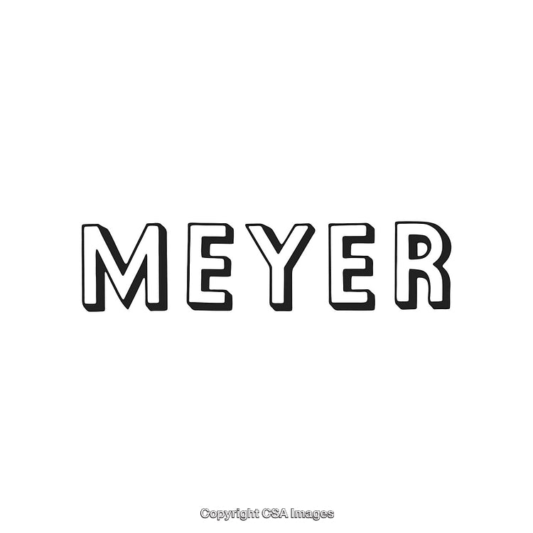 Illustrated Typography Design of the Word 'Meyer' in Black and White