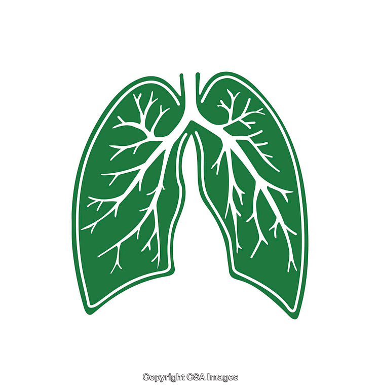 Green Leaf Shaped Lungs Icon Depicting Nature and Health