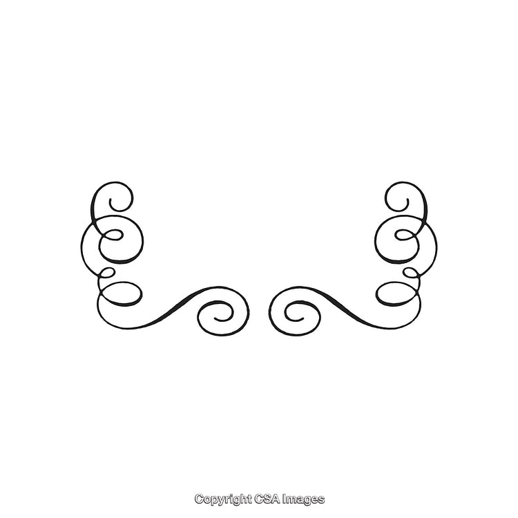 Elegant Black and White Decorative Ornamental Design with Swirls