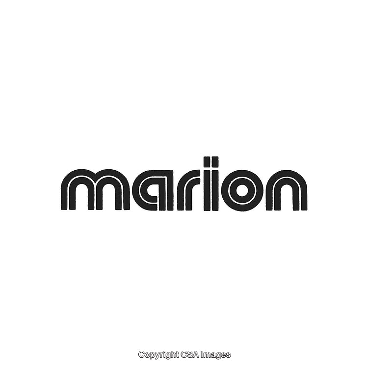 Stylized Text Art With Bold Font Example and Simple Decorative Design Elements