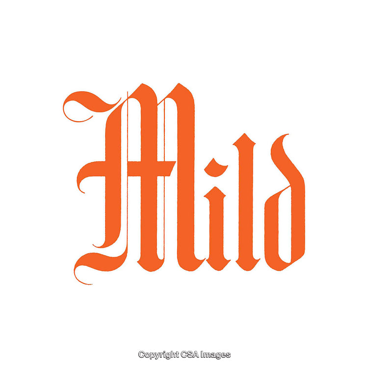 Elegant Calligraphic Typography Featuring the Word 'Mild' in Vibrant Orange Hue