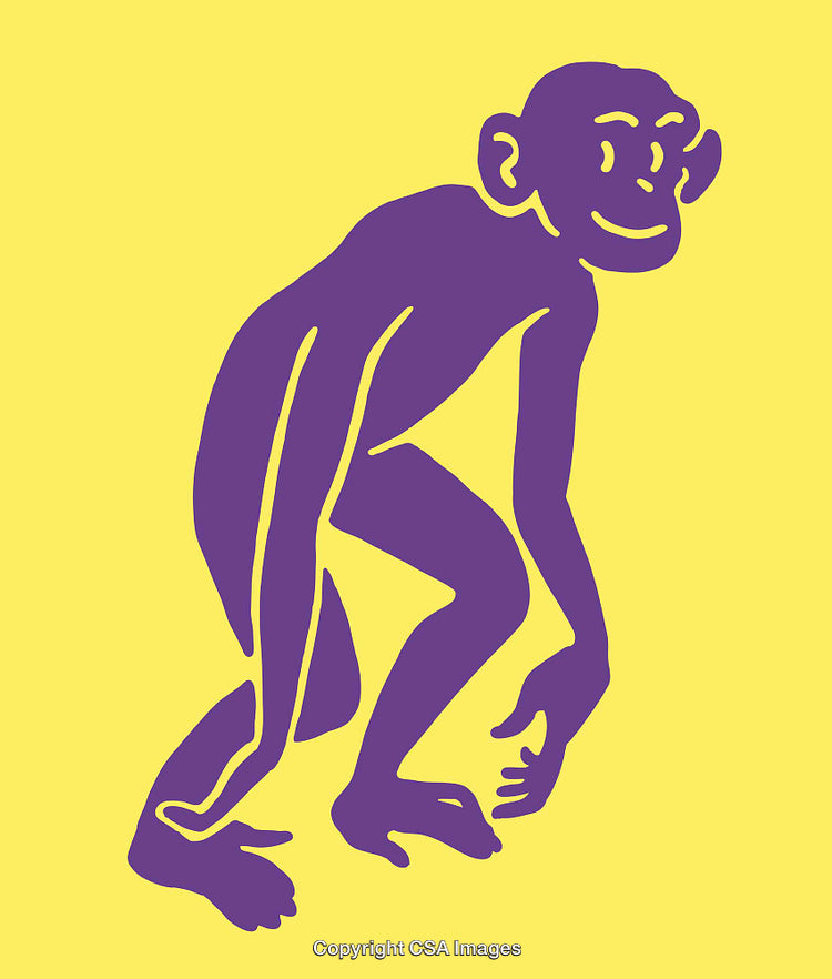 Purple Monkey Silhouette on a Bright Yellow Background
