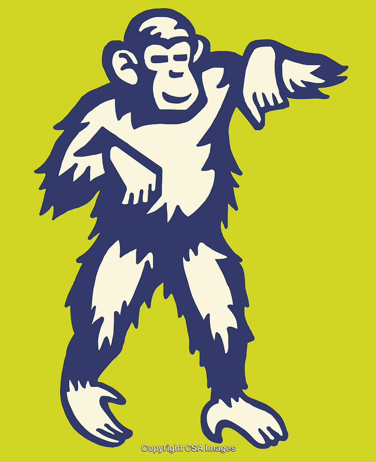 Colorful Monkey Illustration in Playful Cartoon Style on Vibrant Background