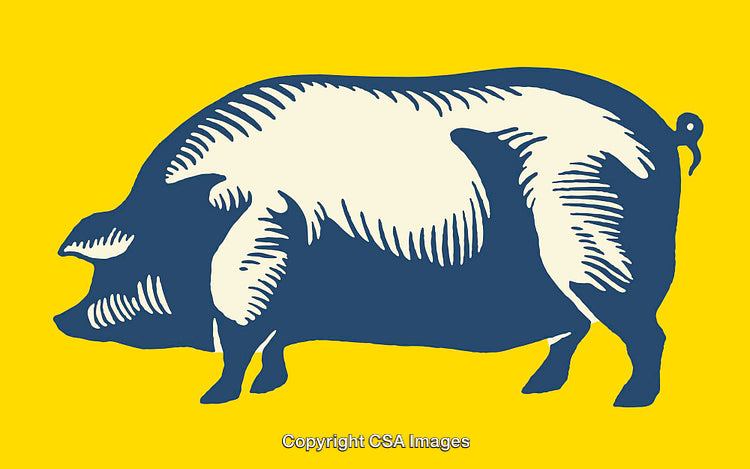 Detailed Line Art Illustration of a Pig on a Bright Yellow Background