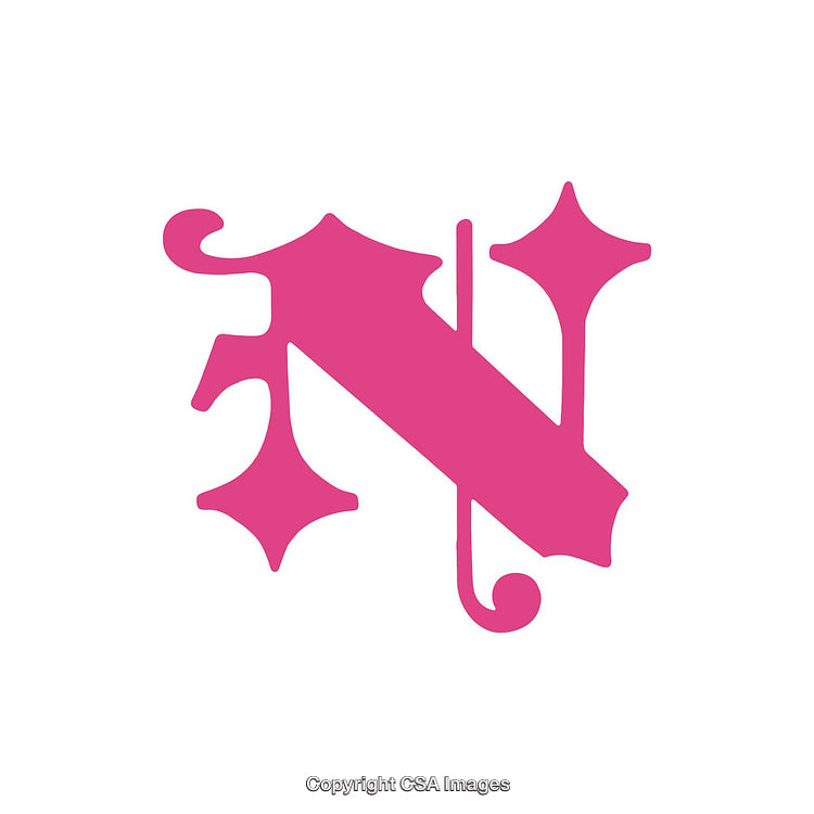 Elegant Pink Ornate N Letter Design Isolated on White Background