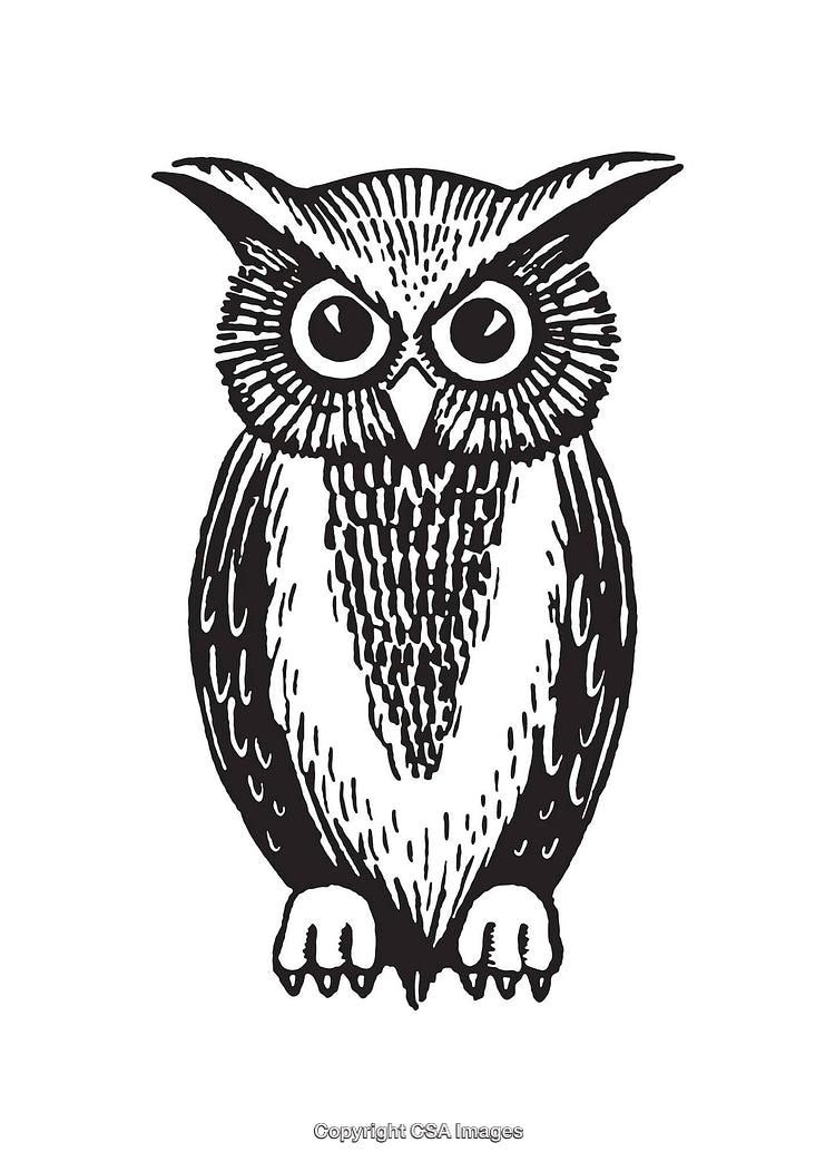 Detailed Black and White Line Art Illustration of a Stylized Owl