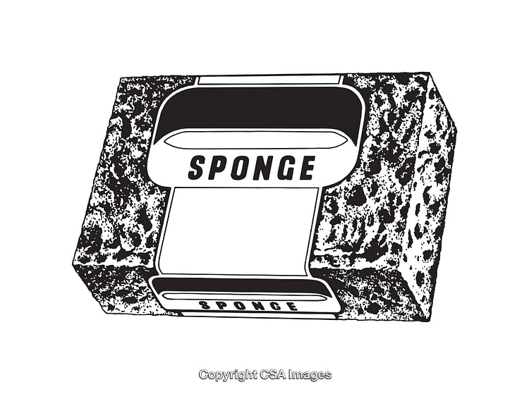 Black and White Line Art Illustration of a Sponge Packaging Design