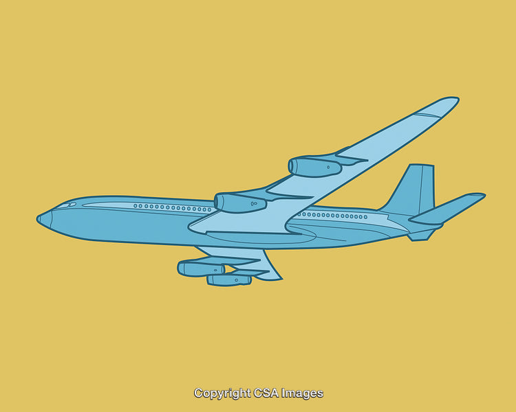 Airplane in Flight