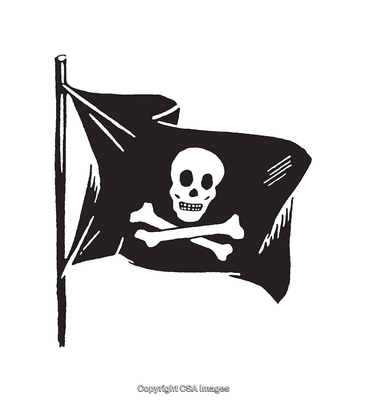 Black and White Pirate Flag Skull and Crossbones Illustration