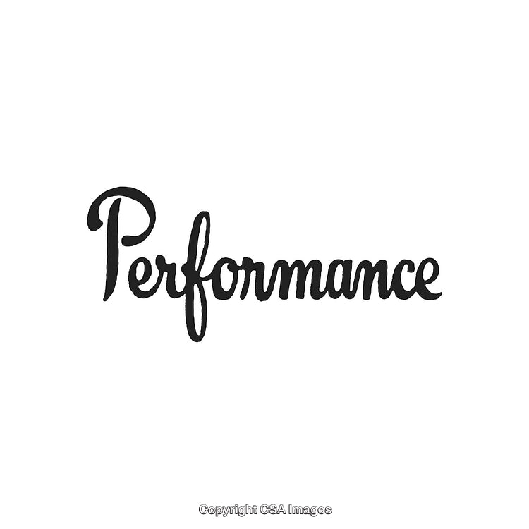 Handwritten Text Saying 'Performance' in Elegant Black Ink on White Background