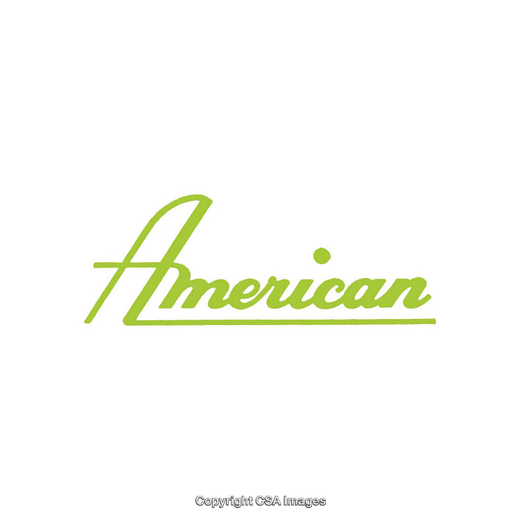 Stylish Green Script Text Featuring the Word 'American' in Retro Design
