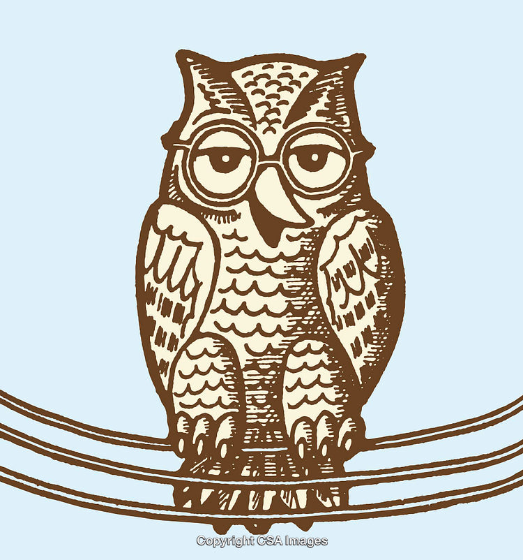 Illustration of an Owl with Glasses on Branch with Vintage Style