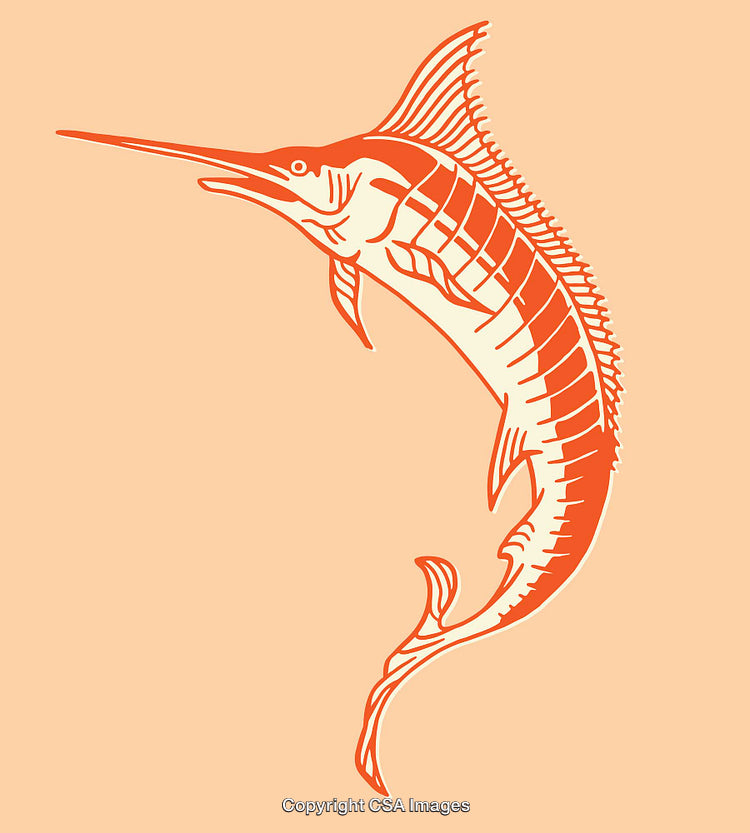 Elegant Line Art Illustration of a Marlin Fish on Peach Background