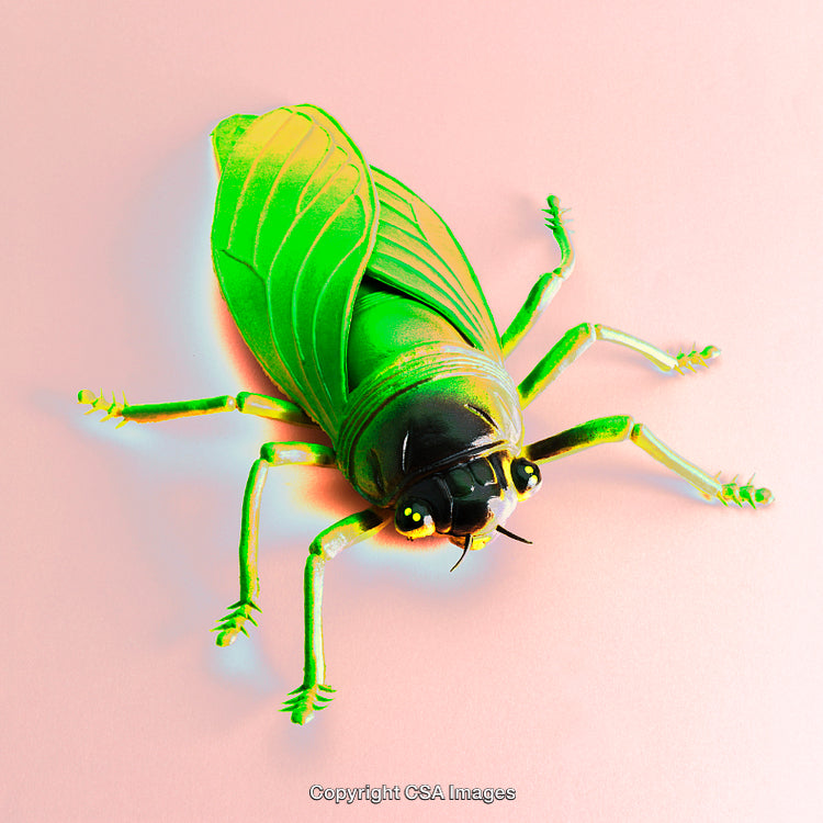 Bright Green Insect Toy on Pastel Background, Close-Up View
