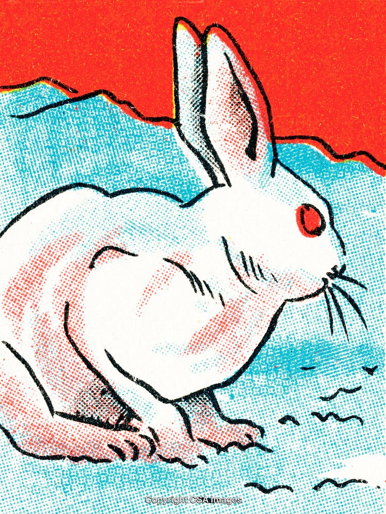 Colorful Vintage Rabbit Illustration with Blue and Red Background