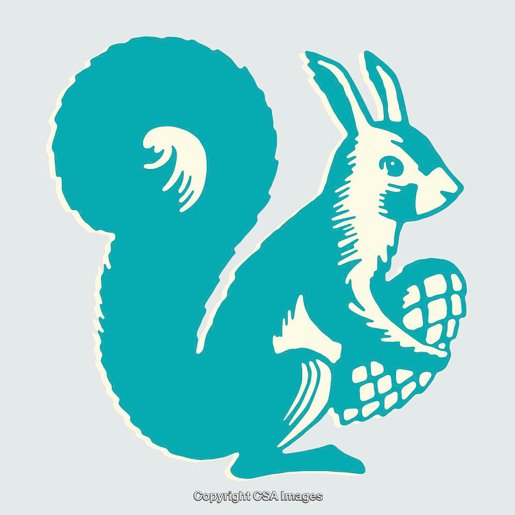 Vintage Inspired Teal Squirrel Illustration with Acorn Design