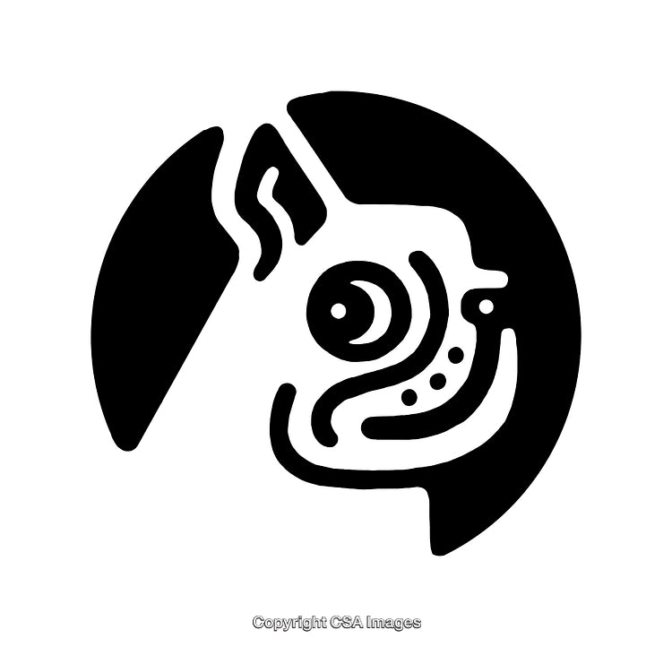 Abstract Black and White Line Art of a Stylized Dog Face
