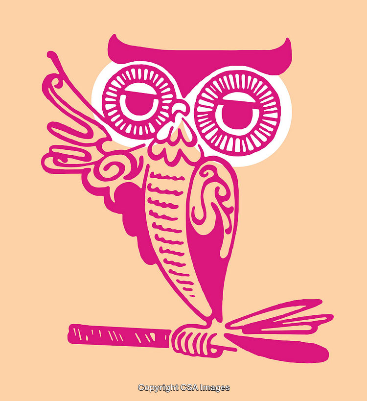Stylized Owl Line Art Illustration in Pink on Beige Background