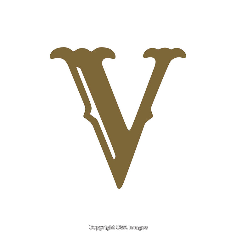 Elegant Serif Letter V in Gold on a White Background
