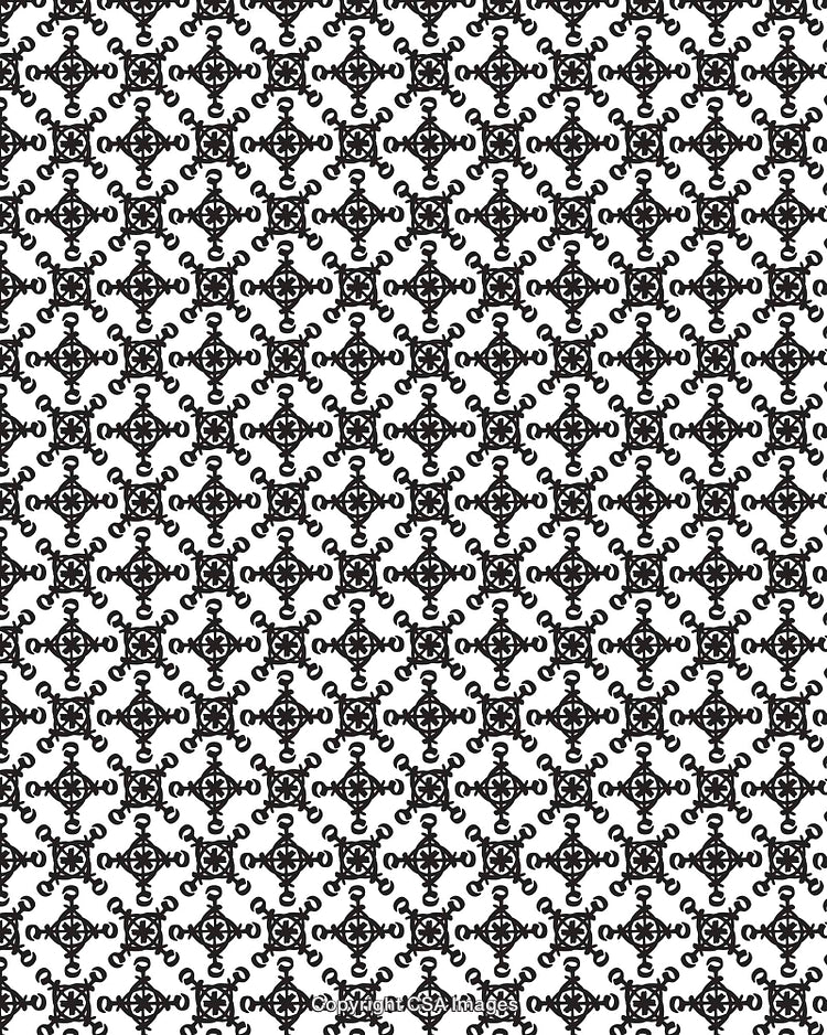Elegant Black and White Ornamental Pattern with Intricate Design