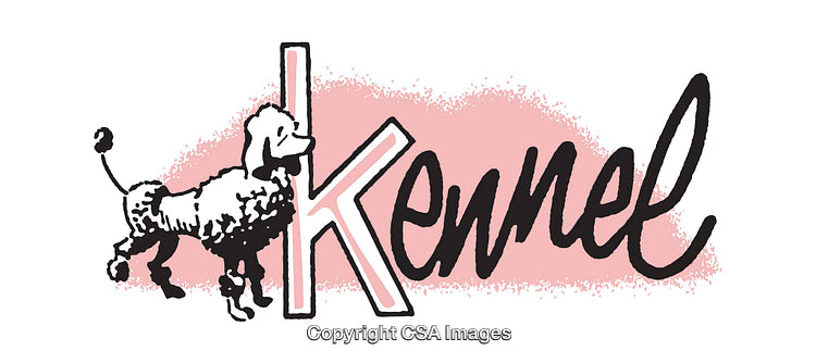 Stylized Illustration of a Dog with Typography and Creative Design Elements
