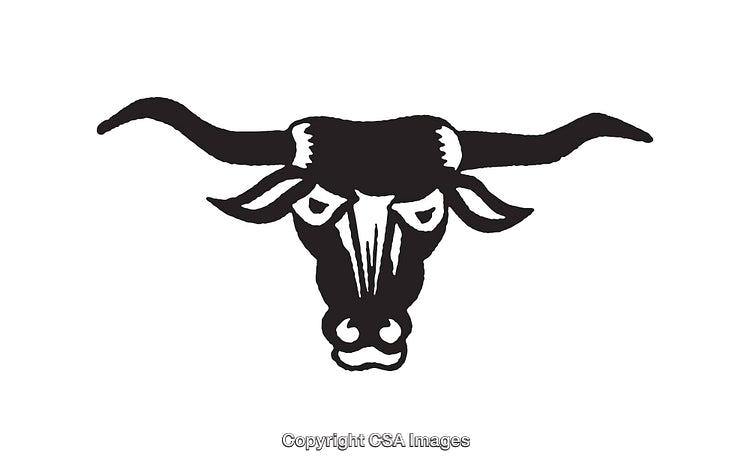 Black and White Illustration of a Longhorn Bull Head With Wide Horns